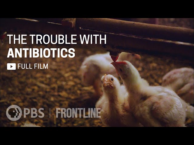 The Trouble with Antibiotics (full documentary)